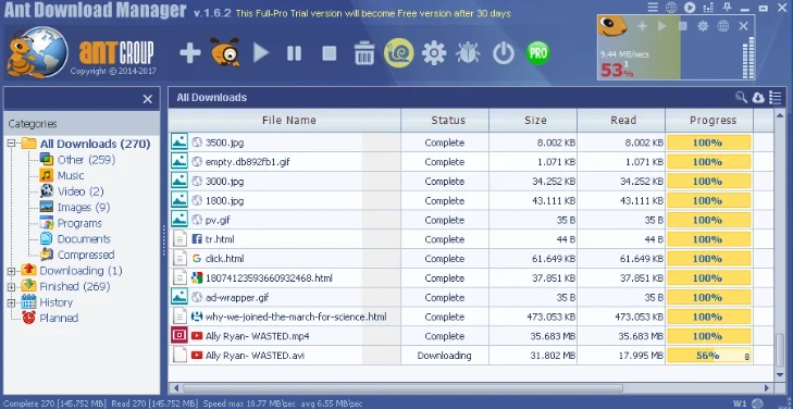 Ant Download Manager