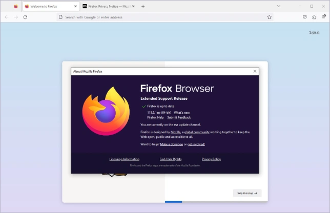 Firefox Browser ESR