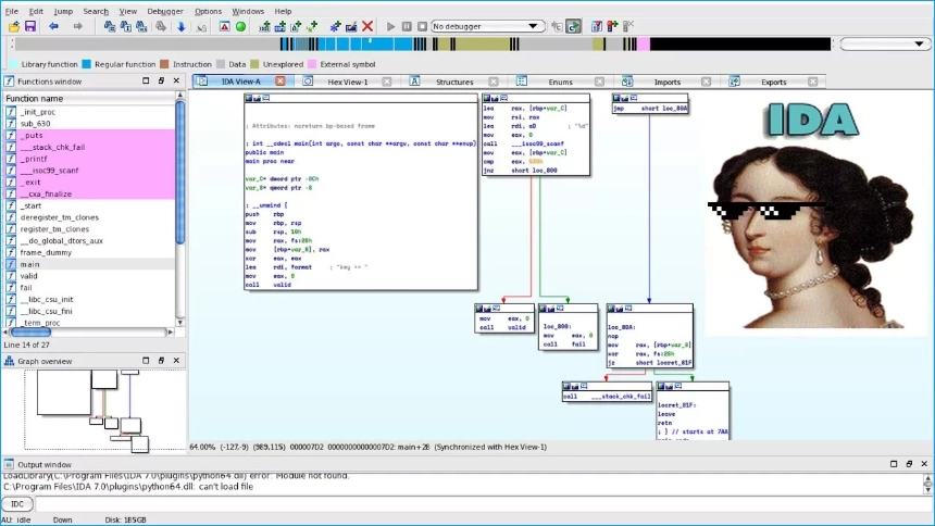 IDA Pro
