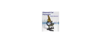 Иконка Diamond Cut Forensics Audio Laboratory