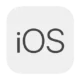 Иконка iPadian