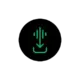 Иконка SpotiFLAC