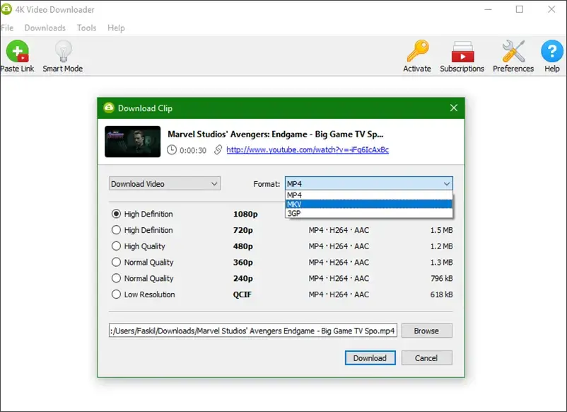 Интерфейс 4K Video Downloader