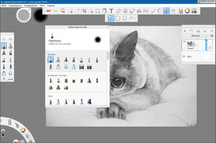 Autodesk SketchBook Pro 8.8.36.0 - приложение на русском